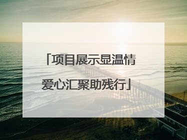 项目展示显温情 爱心汇聚助残行