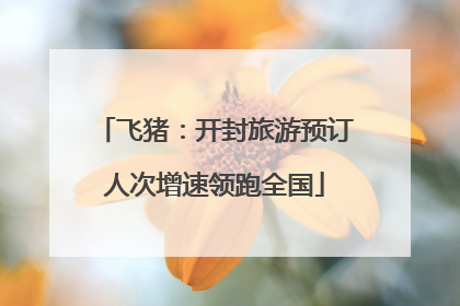 飞猪：开封旅游预订人次增速领跑全国