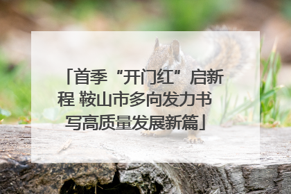 首季“开门红”启新程 鞍山市多向发力书写高质量发展新篇