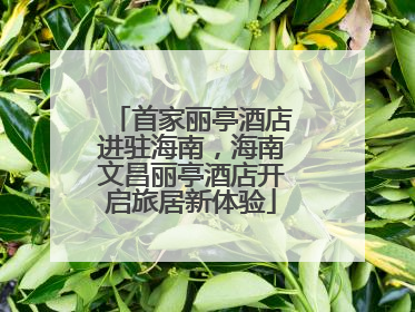 首家丽亭酒店进驻海南，海南文昌丽亭酒店开启旅居新体验