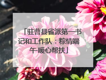 驻曹县省派第一书记和工作队：粽情端午·暖心帮扶