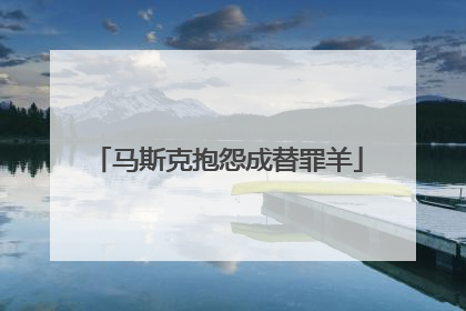 马斯克抱怨成替罪羊