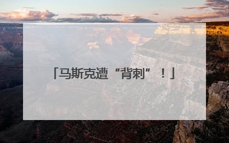 马斯克遭“背刺”！