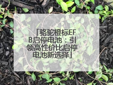 骆驼橙标EFB启停电池：引领高性价比启停电池新选择