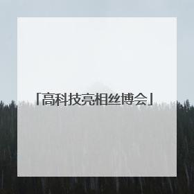高科技亮相丝博会
