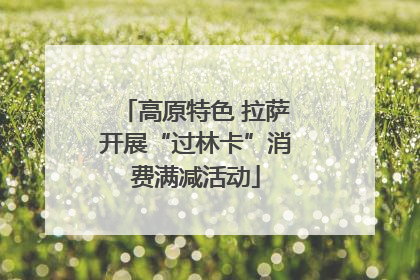 高原特色 拉萨开展“过林卡”消费满减活动
