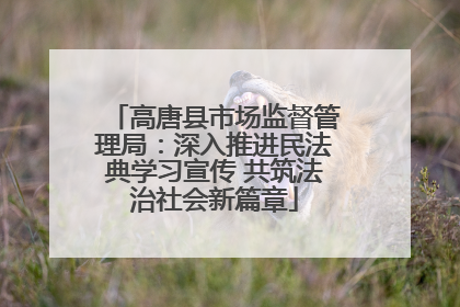 高唐县市场监督管理局：深入推进民法典学习宣传 共筑法治社会新篇章