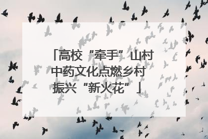 高校“牵手”山村 中药文化点燃乡村振兴“新火花”