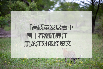 高质量发展看中国｜春潮涌界江 黑龙江对俄经贸文旅交流绿意盎然