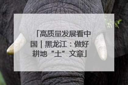 高质量发展看中国｜黑龙江：做好耕地“土”文章