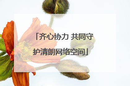 齐心协力 共同守护清朗网络空间