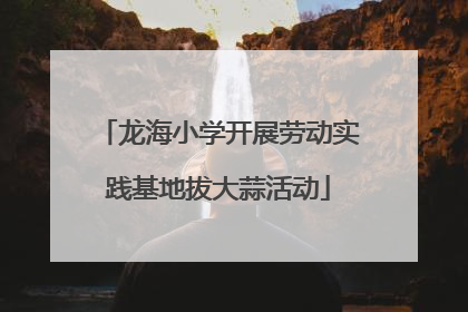 龙海小学开展劳动实践基地拔大蒜活动