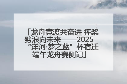 龙舟竞渡共奋进 挥桨劈浪向未来——2025“洋河·梦之蓝”杯宿迁端午龙舟赛侧记