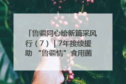 鲁疆同心绘新篇采风行（7）｜7年接续援助 “鲁疆情”食用菌从1.0走向4.0