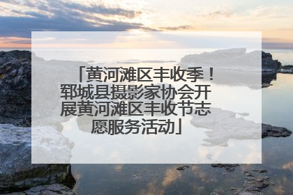 黄河滩区丰收季！郓城县摄影家协会开展黄河滩区丰收节志愿服务活动