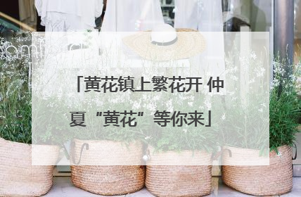 黄花镇上繁花开 仲夏“黄花”等你来