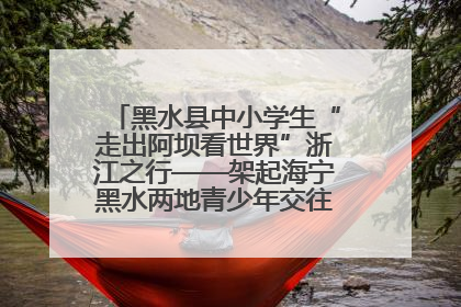 黑水县中小学生“走出阿坝看世界”浙江之行——架起海宁黑水两地青少年交往交流交融新桥梁