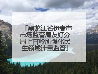 黑龙江省伊春市市场监管局友好分局上甘岭所强化民生领域计量监管