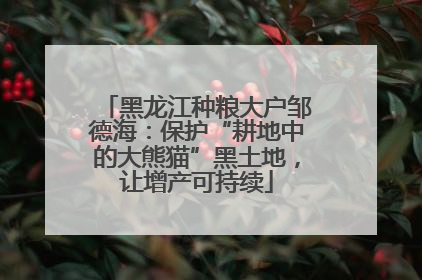 黑龙江种粮大户邹德海：保护“耕地中的大熊猫”黑土地，让增产可持续