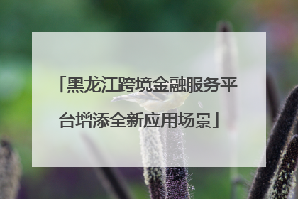 黑龙江跨境金融服务平台增添全新应用场景