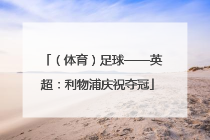 （体育）足球——英超：利物浦庆祝夺冠