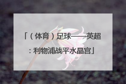 （体育）足球——英超：利物浦战平水晶宫