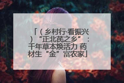 （乡村行·看振兴）“正北芪之乡”：千年草本焕活力 药材生“金”富农家
