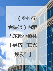 （乡村行·看振兴）内蒙古东部小镇林下经济“茸光焕发”