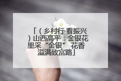 （乡村行·看振兴）山西高平：金银花里采“金银” 花香溢满致富路