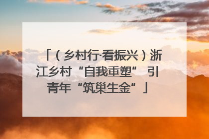 （乡村行·看振兴）浙江乡村“自我重塑” 引青年“筑巢生金”