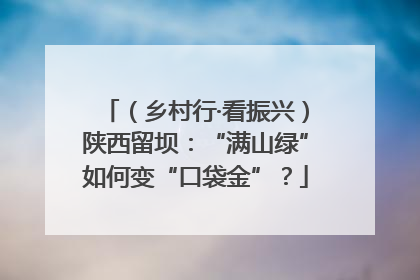 （乡村行·看振兴）陕西留坝：“满山绿”如何变“口袋金”？