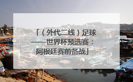 （外代二线）足球——世界杯预选赛：阿根廷赛前备战