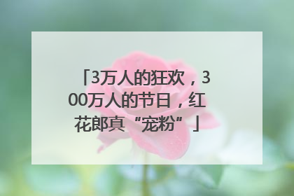 3万人的狂欢，300万人的节日，红花郎真“宠粉”