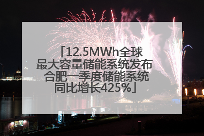 12.5MWh全球最大容量储能系统发布 合肥一季度储能系统同比增长425%