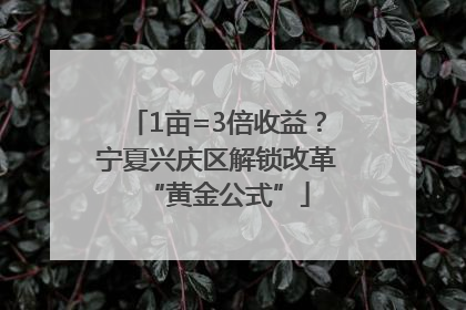 1亩=3倍收益？宁夏兴庆区解锁改革“黄金公式”