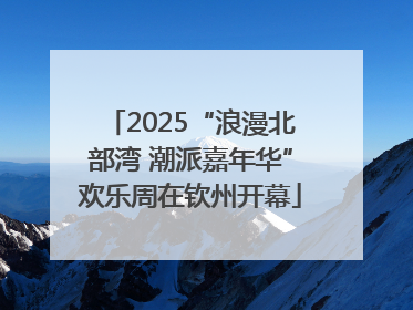 2025“浪漫北部湾 潮派嘉年华”欢乐周在钦州开幕
