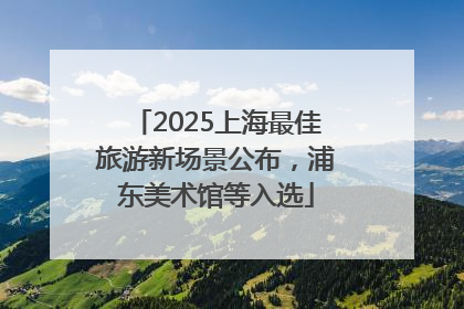 2025上海最佳旅游新场景公布，浦东美术馆等入选