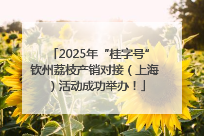 2025年“桂字号”钦州荔枝产销对接（上海）活动成功举办！