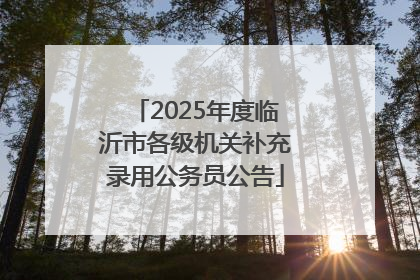 2025年度临沂市各级机关补充录用公务员公告