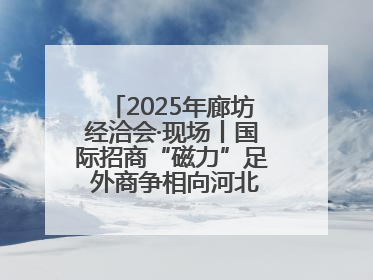 2025年廊坊经洽会·现场丨国际招商“磁力”足 外商争相向河北推介项目