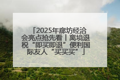 2025年廊坊经洽会亮点抢先看丨离境退税“即买即退”便利国际友人“买买买”