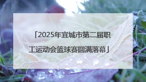 2025年宜城市第二届职工运动会篮球赛圆满落幕