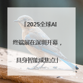 2025全球AI终端展在深圳开幕，具身智能成焦点