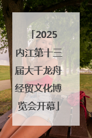 2025内江第十三届大千龙舟经贸文化博览会开幕