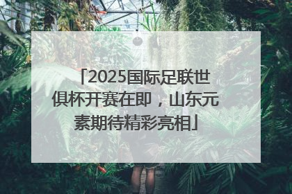 2025国际足联世俱杯开赛在即，山东元素期待精彩亮相
