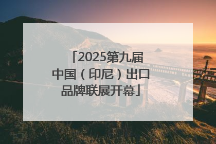 2025第九届中国（印尼）出口品牌联展开幕
