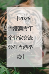 2025鲁港澳青年企业家交流会在香港举办