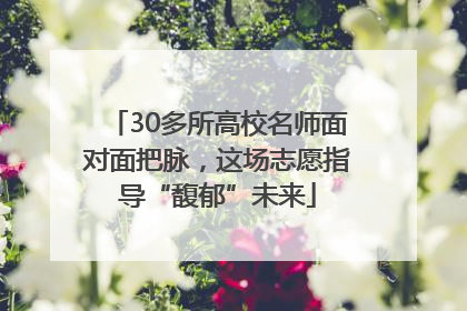 30多所高校名师面对面把脉，这场志愿指导“馥郁”未来