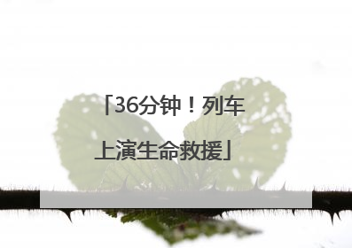 36分钟！列车上演生命救援