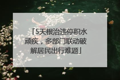 5天根治违停积水顽疾，多部门联动破解居民出行难题